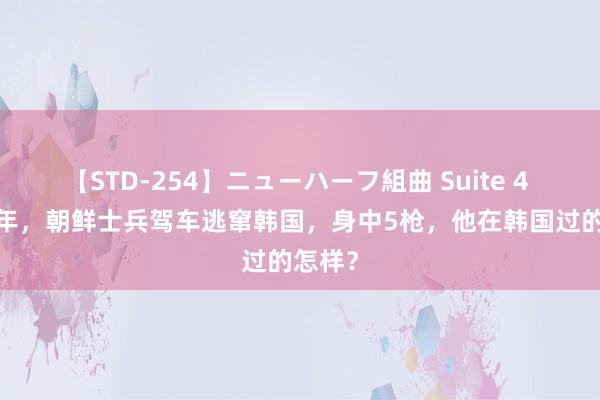 【STD-254】ニューハーフ組曲 Suite 4 2017年，朝鲜士兵驾车逃窜韩国，身中5枪，他在韩国过的怎样？