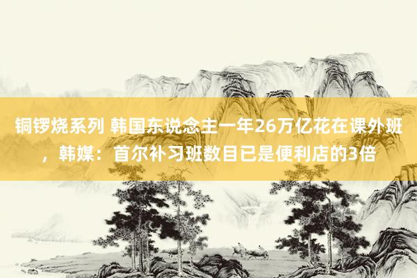 铜锣烧系列 韩国东说念主一年26万亿花在课外班，韩媒：首尔补习班数目已是便利店的3倍
