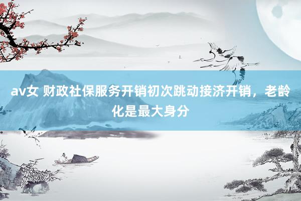 av女 财政社保服务开销初次跳动接济开销，老龄化是最大身分