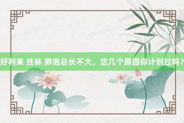 好利来 丝袜 卵泡总长不大，这几个原因你计划过吗？