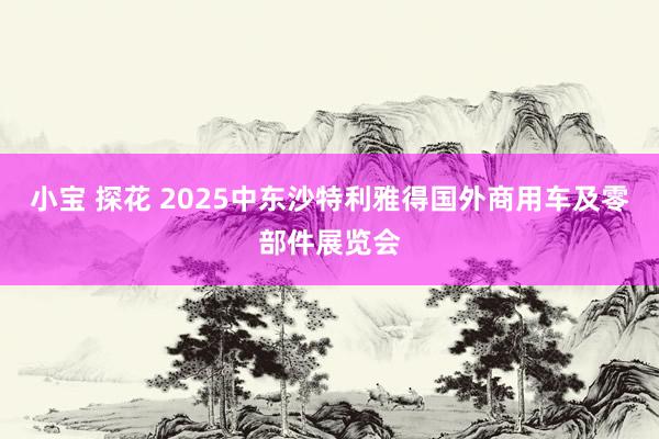 小宝 探花 2025中东沙特利雅得国外商用车及零部件展览会