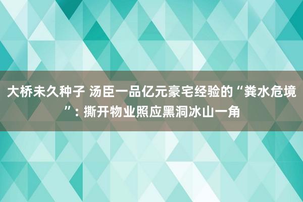 大桥未久种子 汤臣一品亿元豪宅经验的“粪水危境”: 撕开物业照应黑洞冰山一角