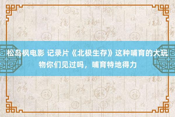 松岛枫电影 记录片《北极生存》这种哺育的大玩物你们见过吗，哺